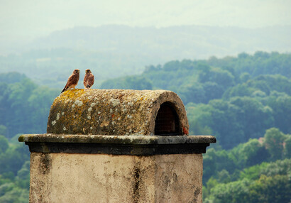 Rozhovor | © Luisa Pavlíková